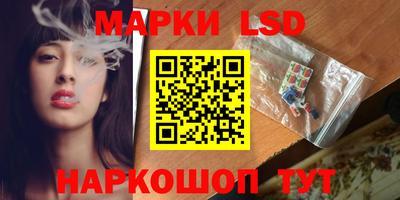 скорость Кингисепп