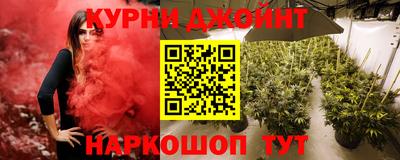 скорость Кингисепп