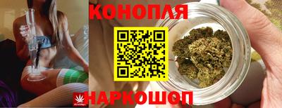 стафф Кинель