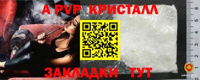 скорость Кингисепп