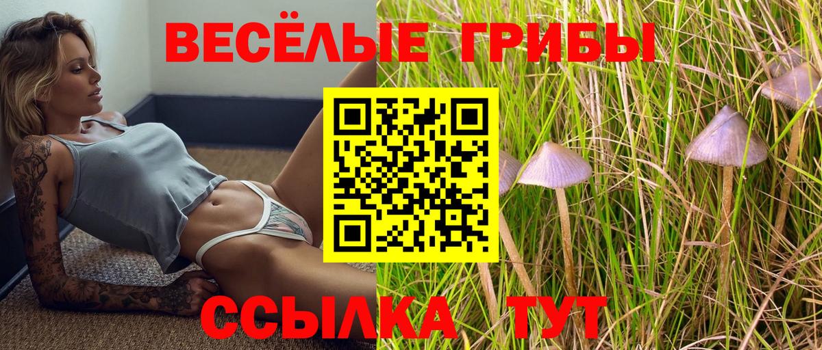 Галлюциногенные грибы мицелий Котельники