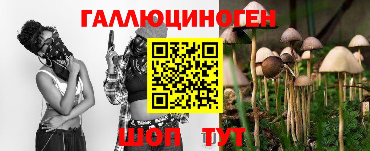 Псилоцибиновые грибы Magic Shrooms  Вход с VPN  Псилоцибиновые грибы мухоморы  Котельники 